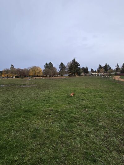 Sacajawea Fenced Off-Leash Dog Park - Portland, OR