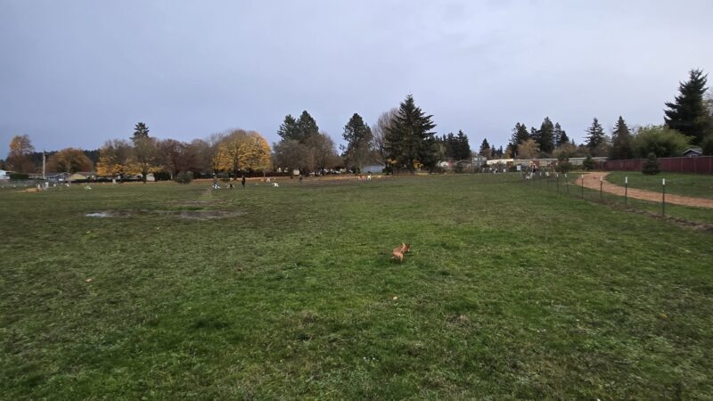 Sacajawea Fenced Off-Leash Dog Park - Portland, OR