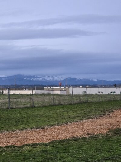 Sacajawea Fenced Off-Leash Dog Park - Portland, OR