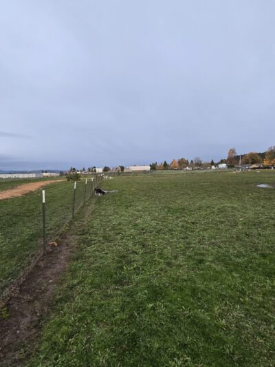 Sacajawea Fenced Off-Leash Dog Park - Portland, OR