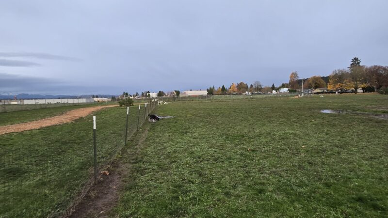 Sacajawea Fenced Off-Leash Dog Park - Portland, OR