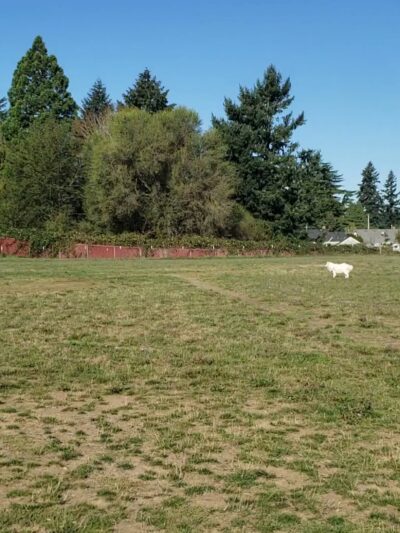 Sacajawea Park - Portland, OR