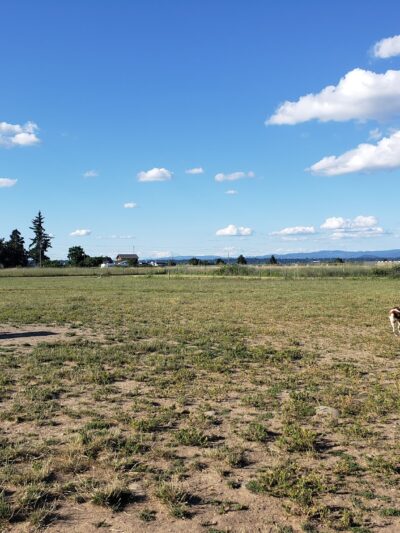 Sacajawea Park - Portland, OR