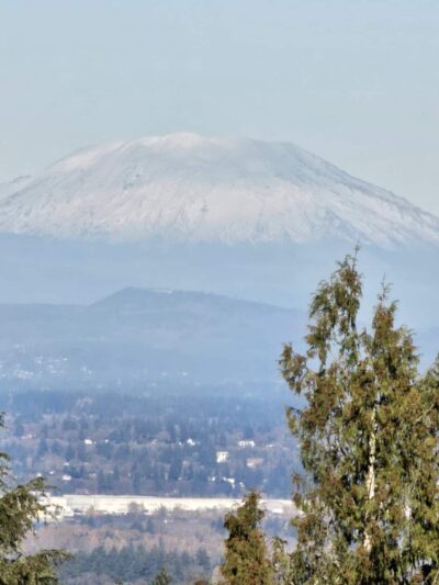 Volcano Vista - Portland, OR