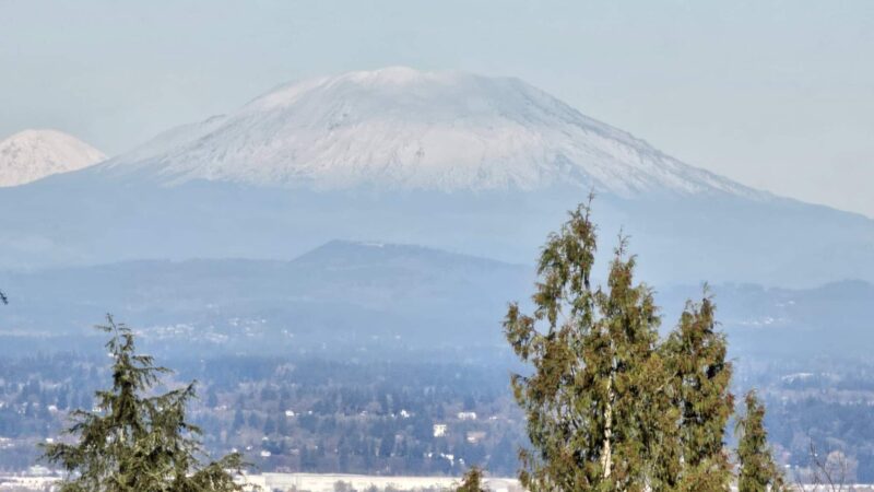 Volcano Vista - Portland, OR