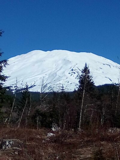 Volcano Vista - Portland, OR