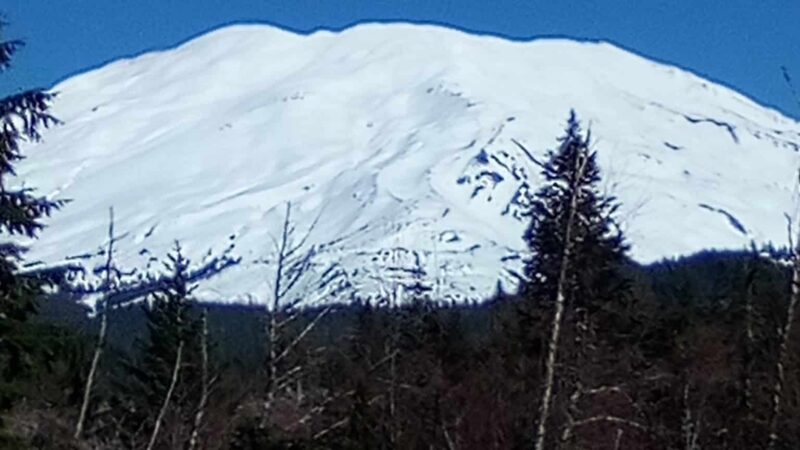 Volcano Vista - Portland, OR
