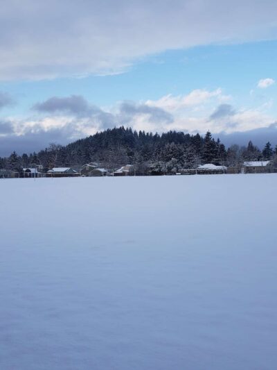 West Powellhurst Park - Portland, OR