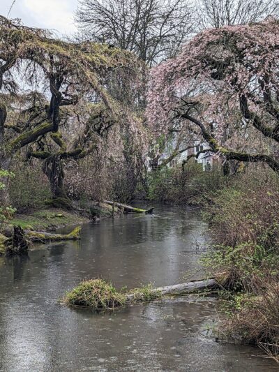 Westmoreland Park - Portland, OR