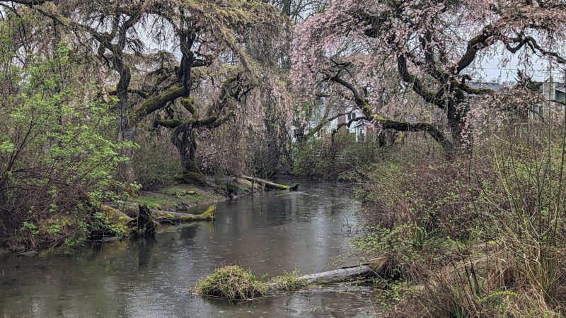 Westmoreland Park - Portland, OR