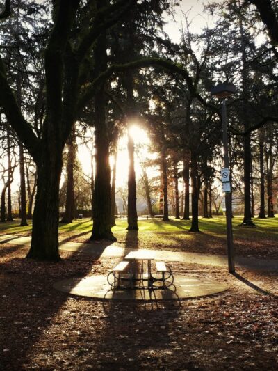 Wilshire Park - Portland, OR