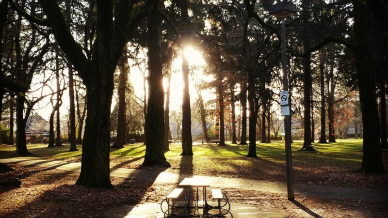 Wilshire Park - Portland, OR