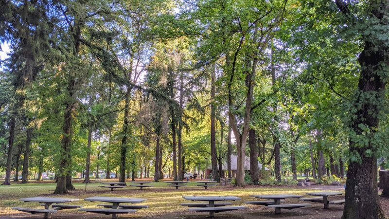 Wilshire Park - Portland, OR