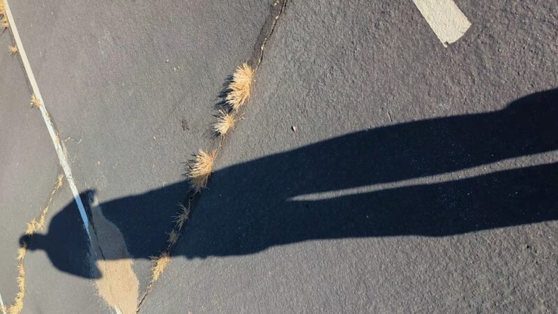 Potrero County Park - Potrero, CA