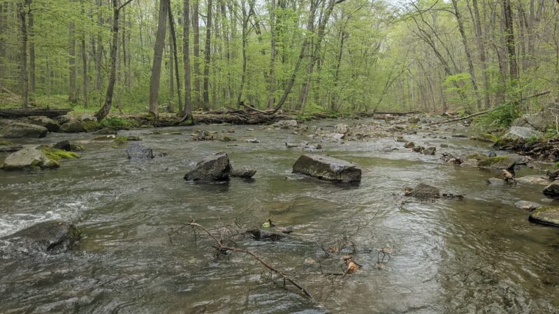 Warwick County Park - Pottstown, PA