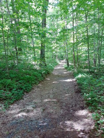 Warwick County Park - Pottstown, PA