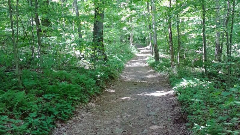 Warwick County Park - Pottstown, PA