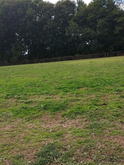 Lincoln Park - Poughkeepsie, NY