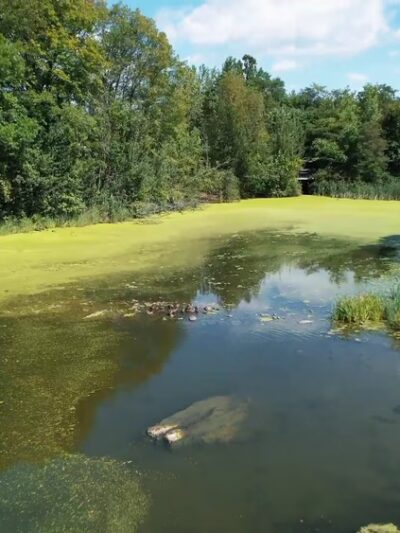 Morgan Lake Park - Poughkeepsie, NY