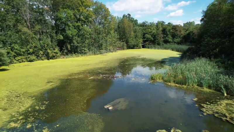 Morgan Lake Park - Poughkeepsie, NY