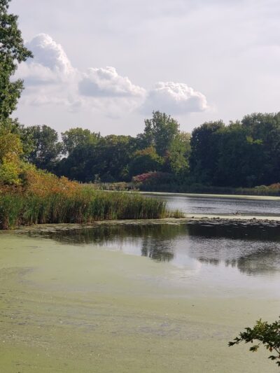 Morgan Lake Park - Poughkeepsie, NY