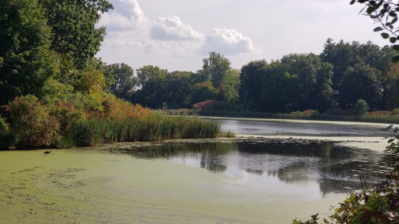 Morgan Lake Park - Poughkeepsie, NY