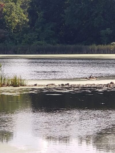 Morgan Lake Park - Poughkeepsie, NY
