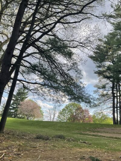 Morgan Lake Park - Poughkeepsie, NY