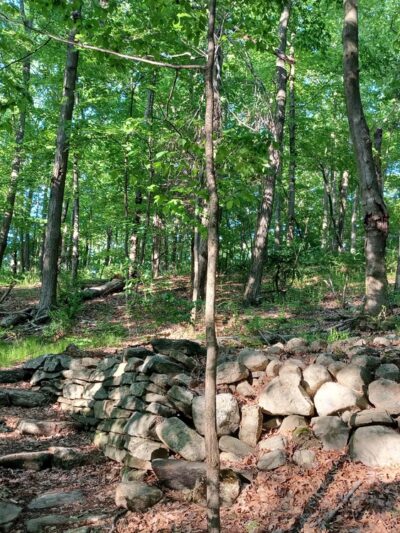 Ward Pound Ridge Reservation - Pound Ridge, NY