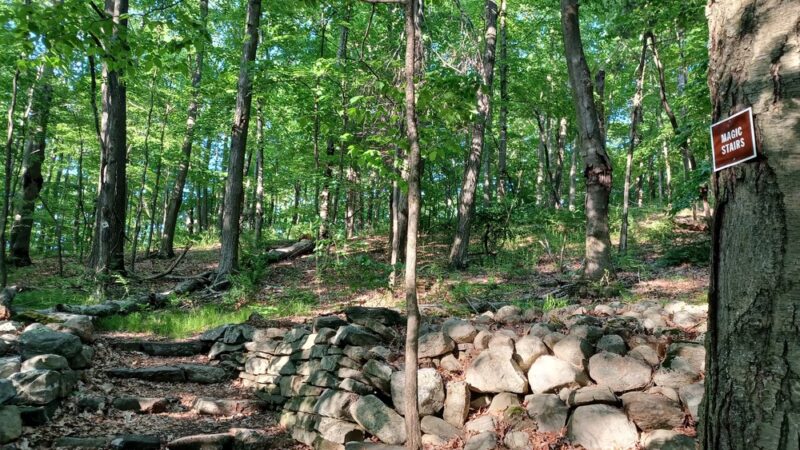 Ward Pound Ridge Reservation - Pound Ridge, NY