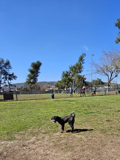 Poway Dog Park - Poway, CA