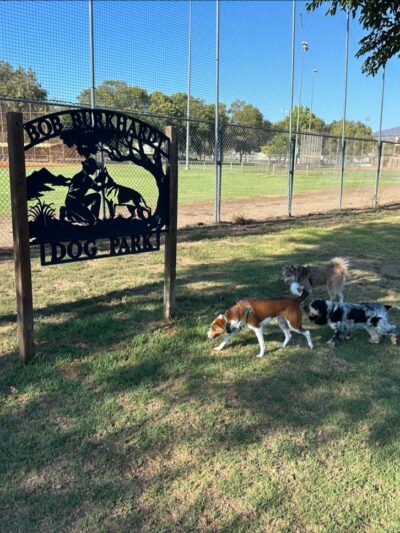 Poway Dog Park - Poway, CA