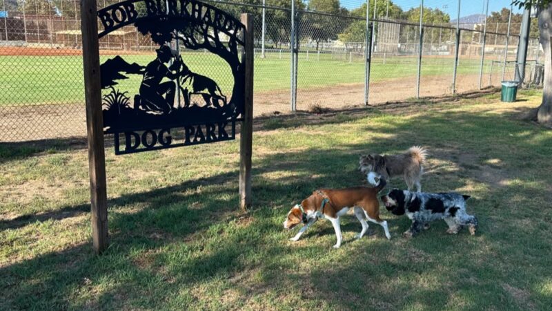 Poway Dog Park - Poway, CA