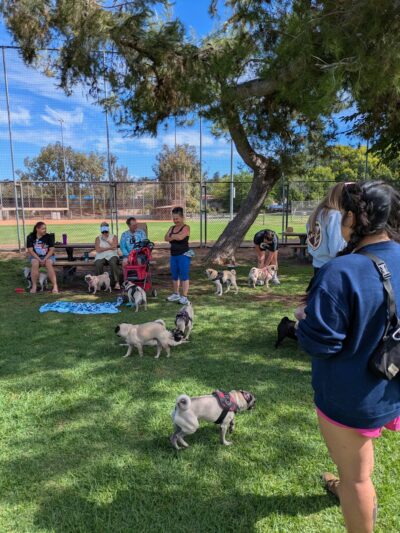 Poway Dog Park - Poway, CA