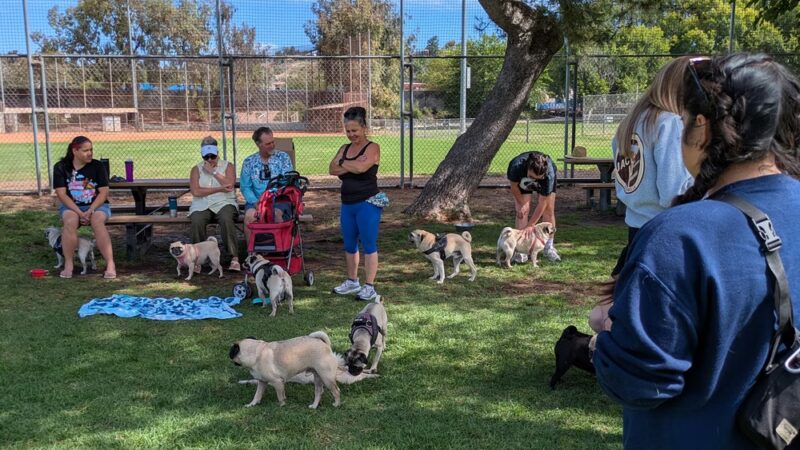 Poway Dog Park - Poway, CA