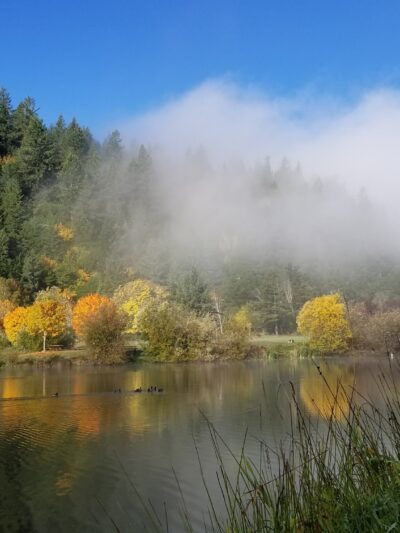 Powers County Park - Powers, OR
