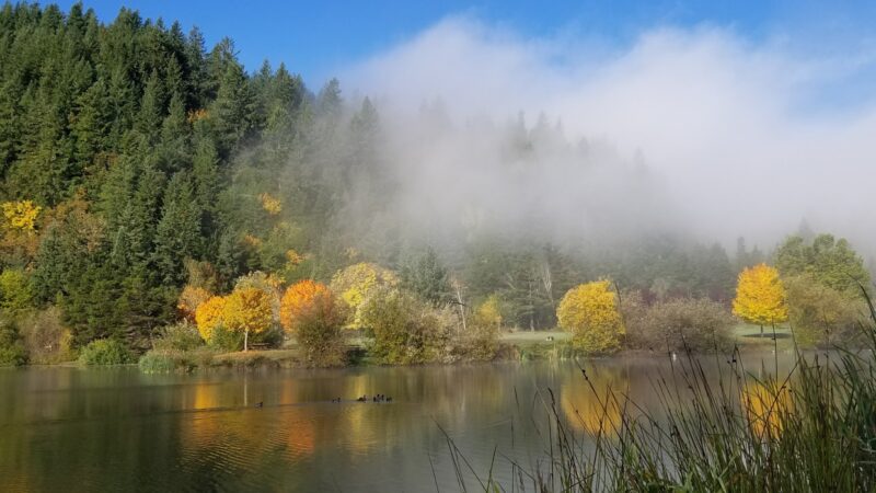 Powers County Park - Powers, OR