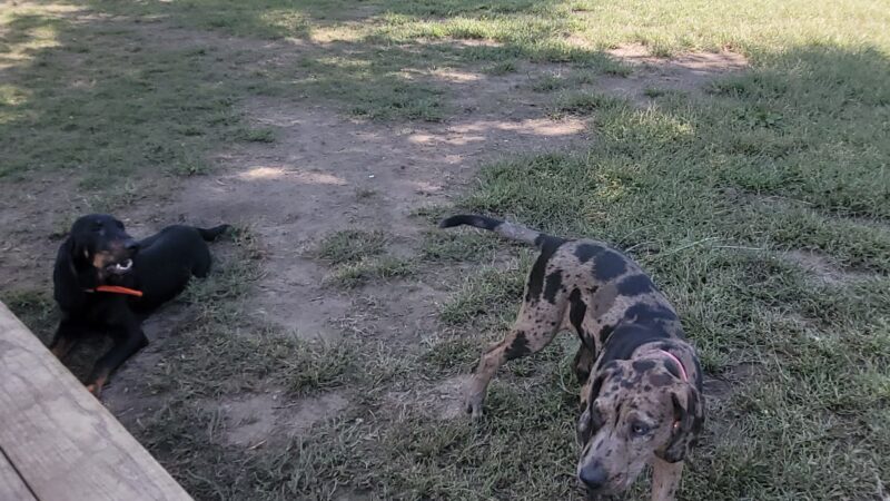 Dog Park - Prairie du Chien, WI