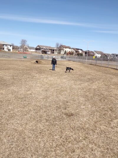 Scentral Bark Dog Park - Prairie du Sac, WI