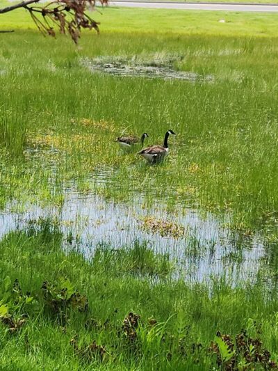Preston Community Park - Preston, CT