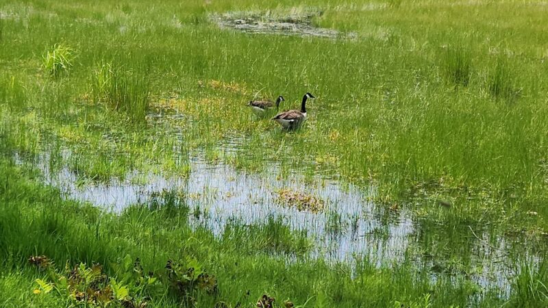 Preston Community Park - Preston, CT