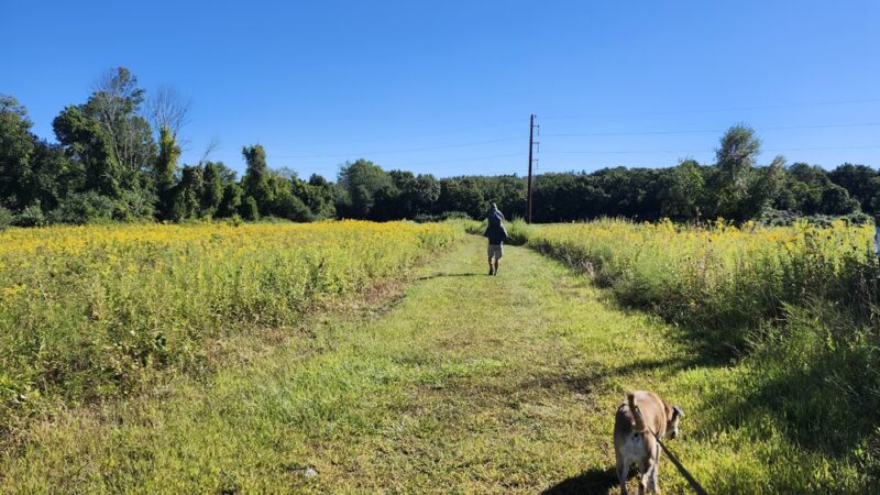 Tri Town Trail - Preston - Preston, CT