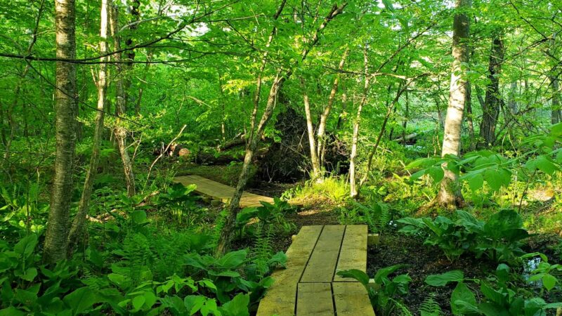 Tri Town Trail - Preston - Preston, CT