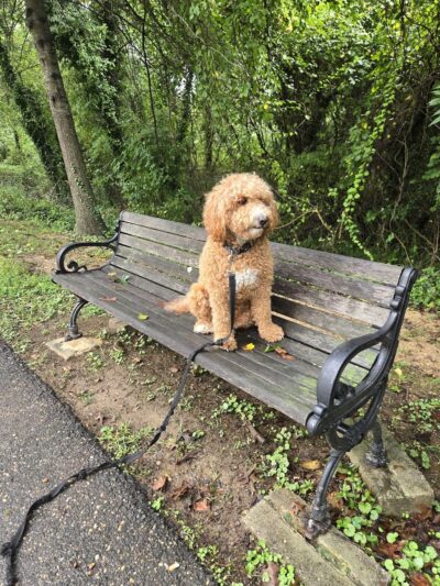 Boyd Margaret Shields, King Memorial Park - Prince Frederick, MD