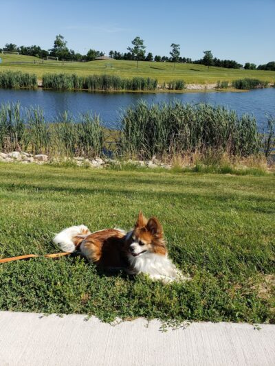 Zearing Park - Princeton, IL