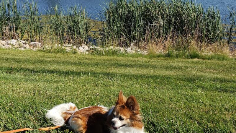 Zearing Park - Princeton, IL