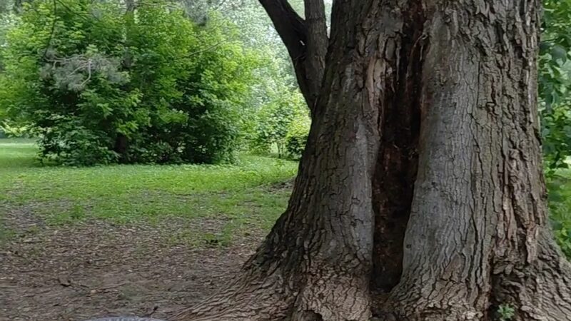 Riebe Park - Princeton, MN