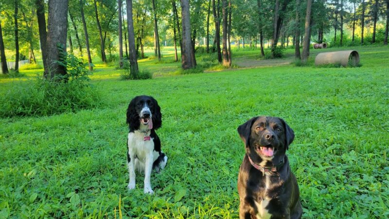 Riebe Park - Princeton, MN