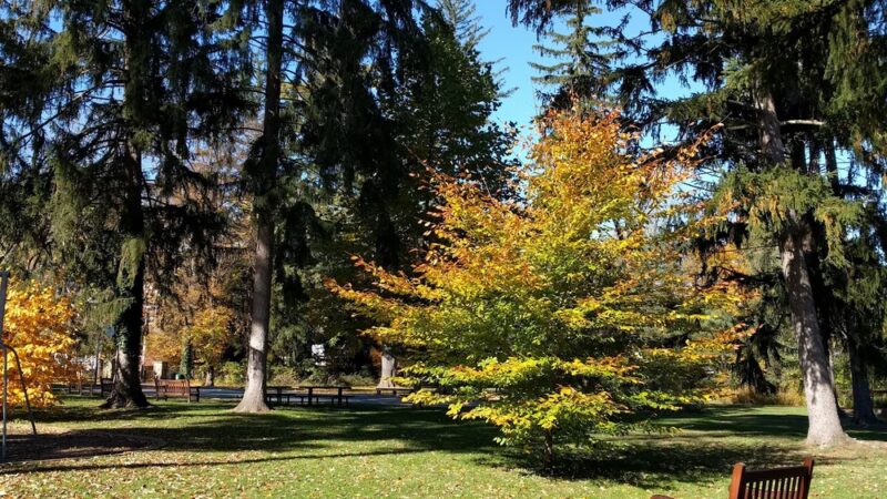 Harrison Street Park - Princeton, NJ