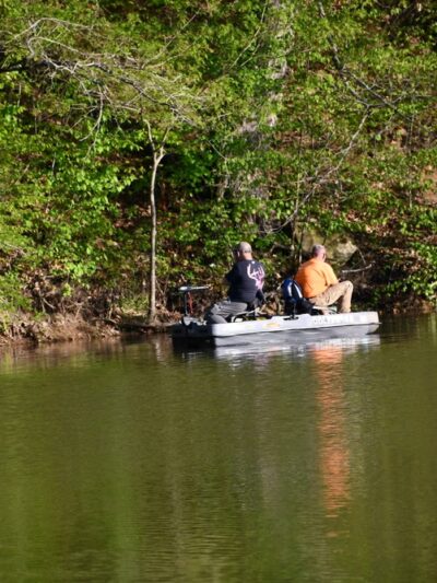 Glenwood Park Shelter #9 - Princeton, WV